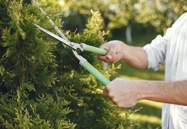 Entreprendre des démarches en cas de conflit de voisinage