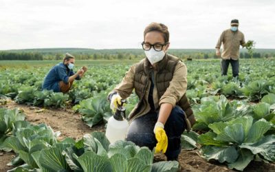 Droit du voisinage et pesticides : que faire si mon voisin en utilise ?