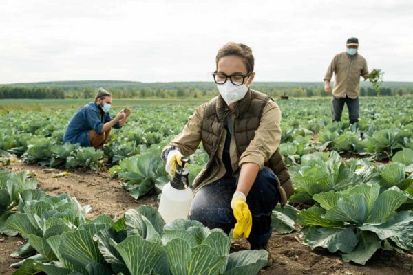 Femme dans un champ agricole en train de répandre des pesticides