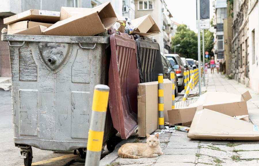 Pollution visuelle comme trouble de voisinage